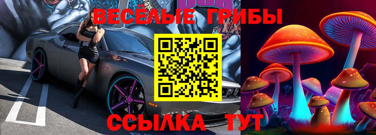 Феодосия  закладки  Вход с VPN  Галлюциногенные грибы Psilocybine cubensis 